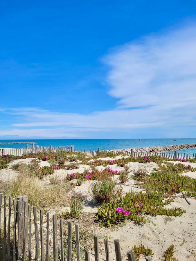 L' Appart Du Golf Saint-Cyprien  Exteriér fotografie