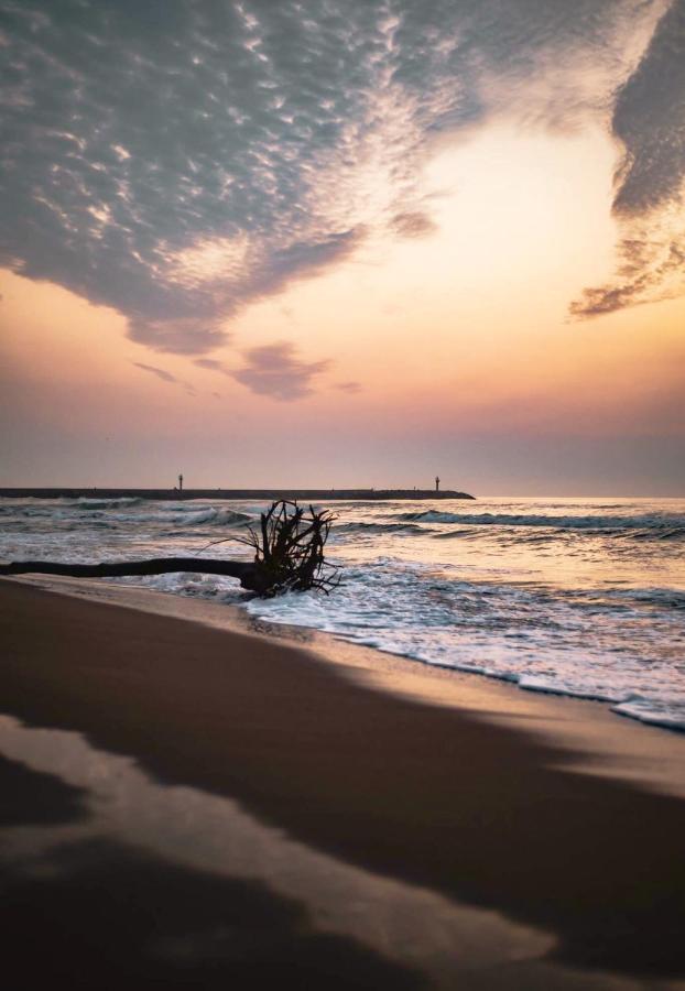 L' Appart Du Golf Saint-Cyprien  Exteriér fotografie
