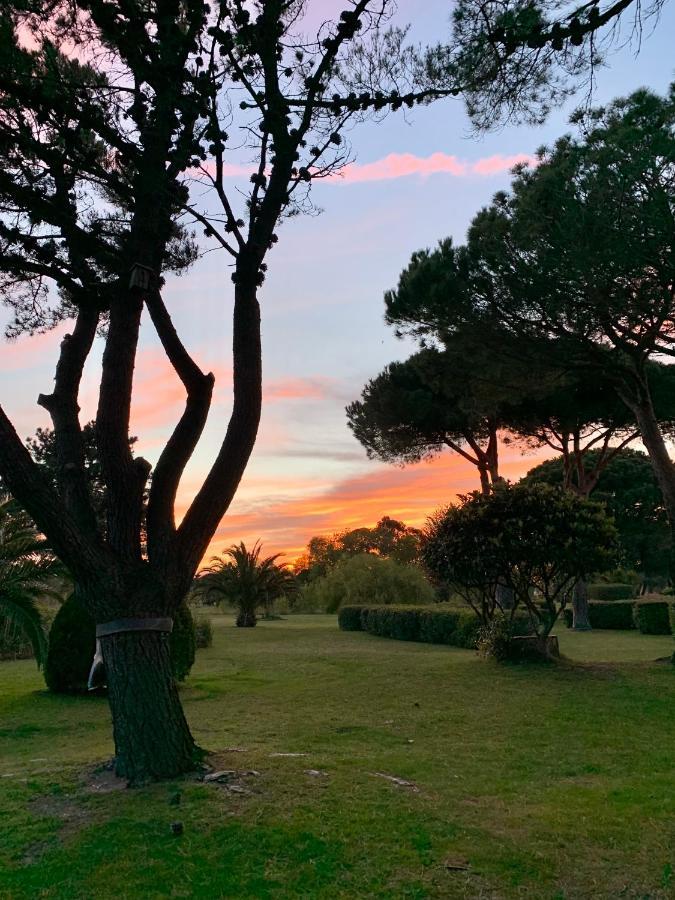 L' Appart Du Golf Saint-Cyprien  Exteriér fotografie