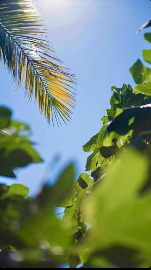L' Appart Du Golf Saint-Cyprien  Exteriér fotografie